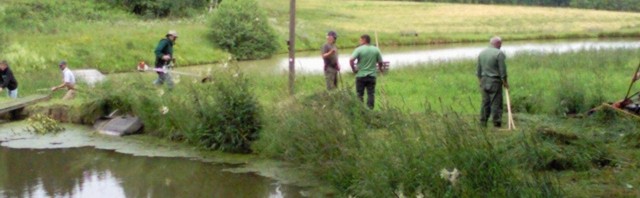 Gras mähen am Häuslweiher und Duscher-Albert-Weiher